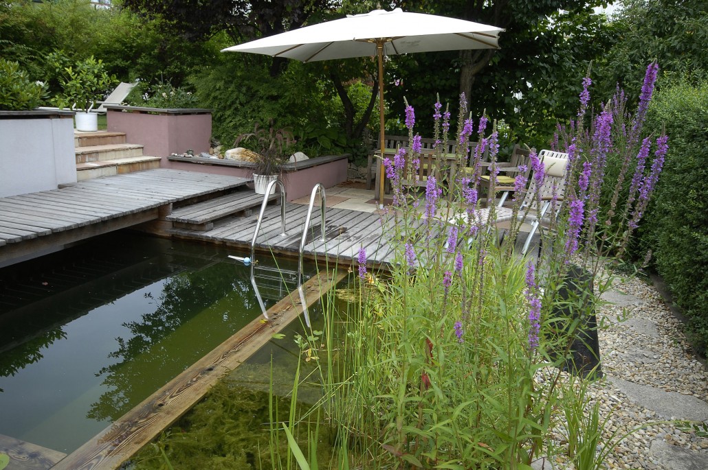 Schwimmteiche › Berliner Gärten BerlinBrandenburg