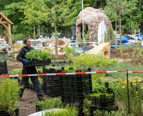 Pflanzarbeiten im Garten