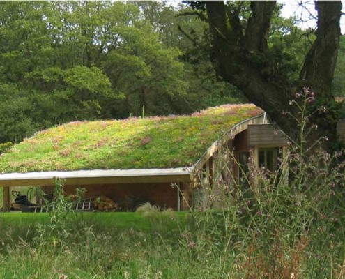 Dachgärten & Dachterrassen › Berliner Gärten | Gärten für Berlin und