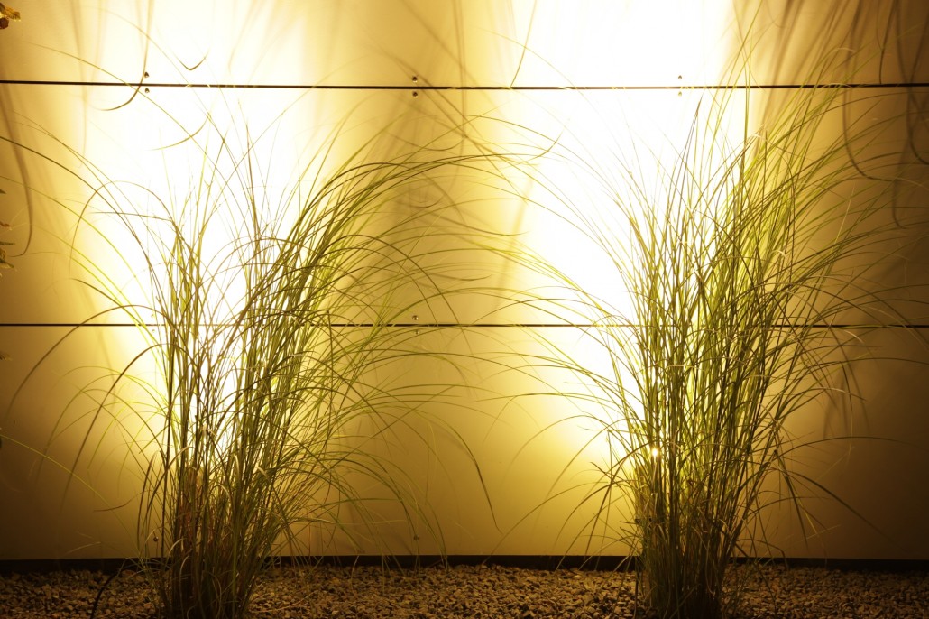 Effektbeleuchtung › Berliner Gärten | Gärten für Berlin und Brandenburg