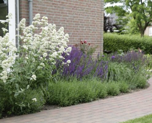 blumenreicher Garten