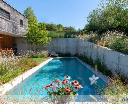 Überlauf-Pool in einem Hausgarten, umgeben von blühenden Stauden
