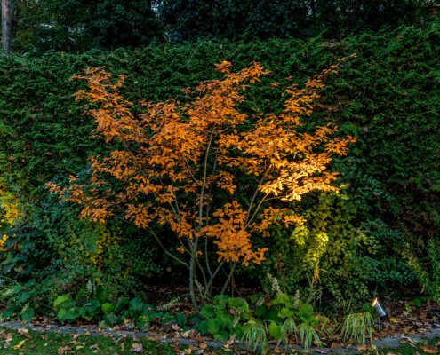 Garten Effektbeleuchtung