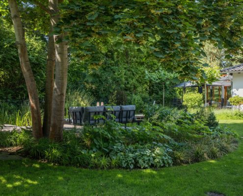 Bestandsbäume im Schwimmteichgarten