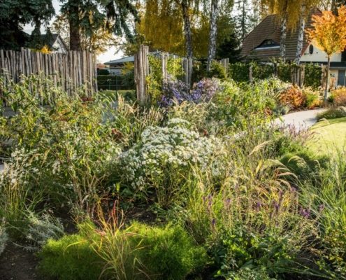 Staudenpflanzen im Herbst