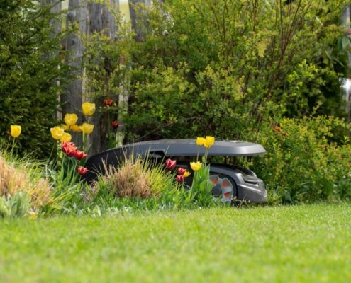 Rasenroboter im Garten