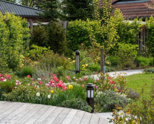 Staudenpflanzen nahe Terrasse im Frühling