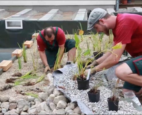 GARTENBAU