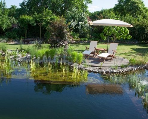 Schwimmteich mit einer halbrunder Terrasse