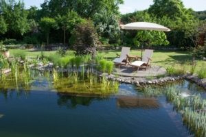 Schwimmteich in Bornim