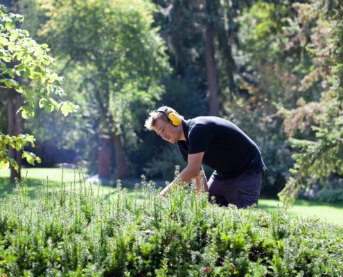 Gartenpflege und Wartung
