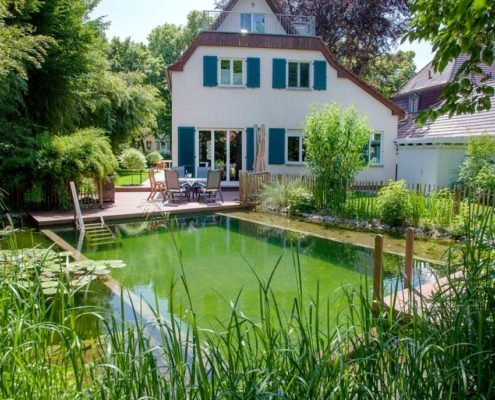 Schwimmteich mit Pflanzen direkt am Wohnhaus