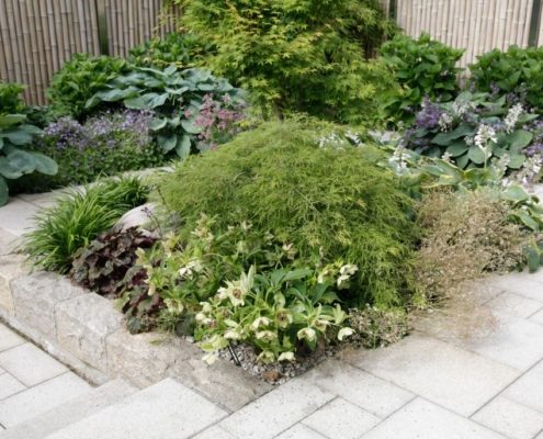 Bepflanzung in einem Stadtgarten