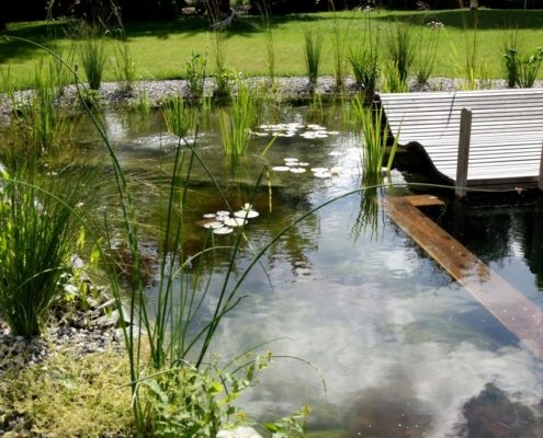 Schwimmteich mit einer Liege